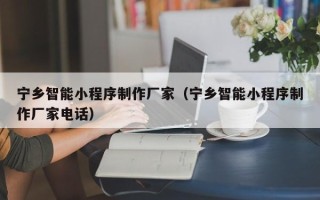 靖江宁乡智能小程序制作厂家（宁乡智能小程序制作厂家电话）