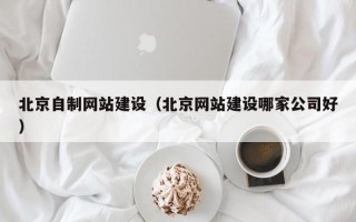 靖江北京自制网站建设（北京网站建设哪家公司好）